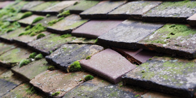 Ticehurst roof repair costs